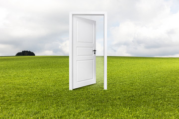 Tür auf der Wiese