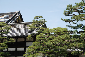Nijo Castle in Kyoto                  