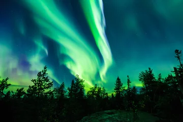 Washable wall murals Northern Lights Northern lights (Aurora borealis) in the sky