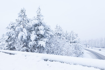 Snow landscape and road