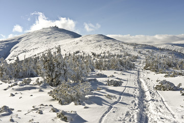Zima w Karkonoszach z widokiem na Śnieżkę