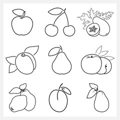 Set of Fruit Linear Icons ,Icon Apple,Cherry,Papaya,Apricot, Pear,Peach, Quince, Plum,Avocado , Isolated on White Background , Vector Illustration
