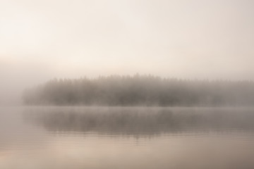 Forest at lakeside at foggy morning