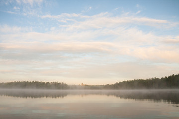 Obraz na płótnie Canvas Forest at lakeside at foggy morning