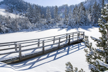 Winteridylle 