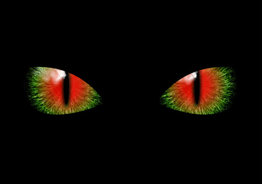 Mysterious green red eyes of black cat