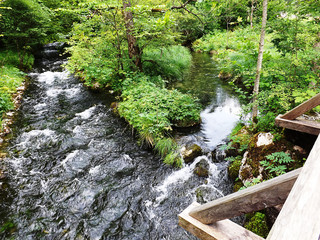 Landschaft am Königssee