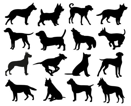 Dogs Silhouette