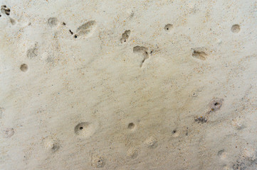 sand backgrounds and texture 
