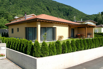 Fototapeta premium House with garden