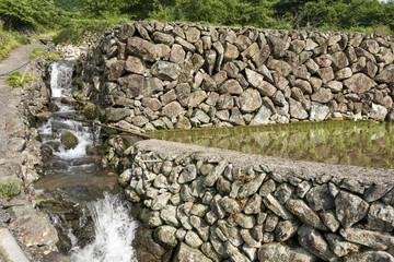 石垣の水田と水路