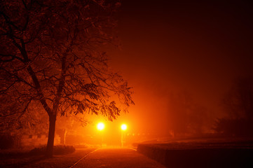 Mysterious empty footpath in morning mist in red orange tone