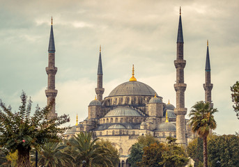 Fototapeta premium Blue Mosque in Istanbul - islamic architecture in Turkey.