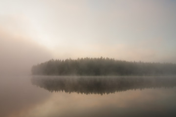 Forest at lakeside at foggy morning