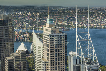 Aerial view from Sydney Tower in Sydney Australia