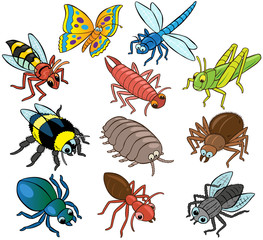 Cartoon Vector Insects