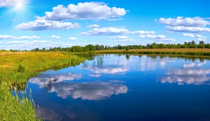 Zelfklevend Fotobehang Summer rushy lake panorama © wildman