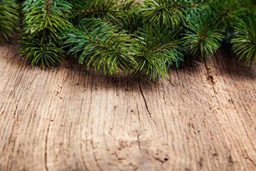 Twigs of evergreens used as decoration