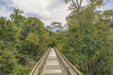 Fototapeta na wymiar Bridge at Iguazu Park Argentinian Border