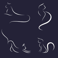 cat abstract lines, vector