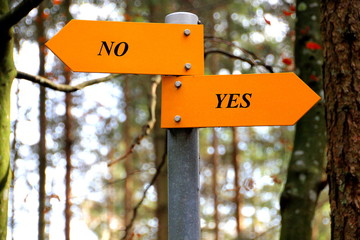 Yes and no geschrieben auf einem Wegweiser im Wald