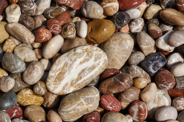 Obrazy na Plexi  Mokre kamienie kamyki na śródziemnomorskim wybrzeżu wyspy Rodos.