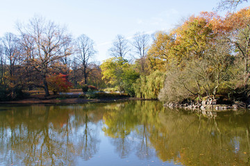 Fototapeta na wymiar clara zetkin park Leipzig: herbstliche Bäume spiegeln sich im See