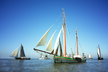 Fleet of traditional sailing ships - 95630037