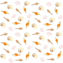Watercolor seamless sea Shells Pattern