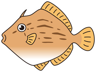 カワハギ