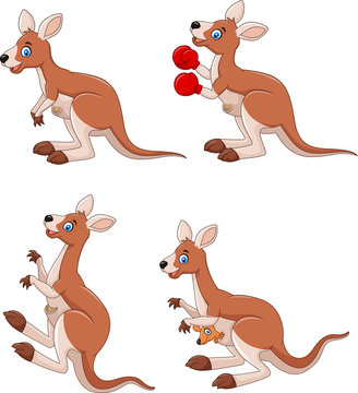 Cartoon kangaroo collection set isolated on white background