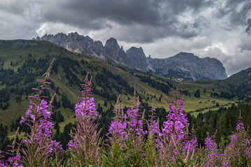 Cir range, Odle, Dolomites, Italy