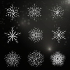 Fototapeta na wymiar Beautiful snowflakes set for christmas winter design