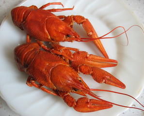 Вареные раки