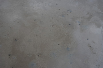 ebb tide at andaman ,sea nature striped on mud beside the sea