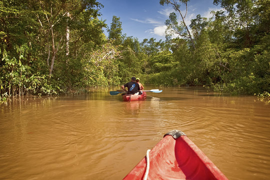 Cano&eacute; kayak sur la Gabrielle-Guyane