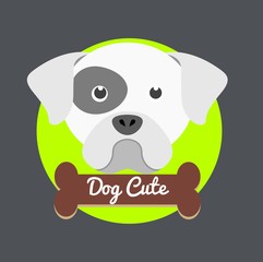 veterinary centre design 