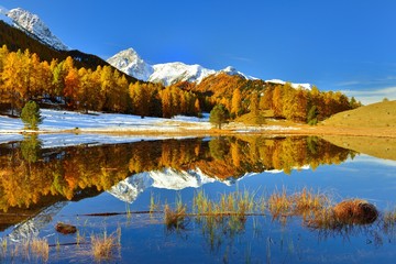 Spiegelung einer herbstlichen Landschaft in einem ruhigen Bergsee in der Schweiz