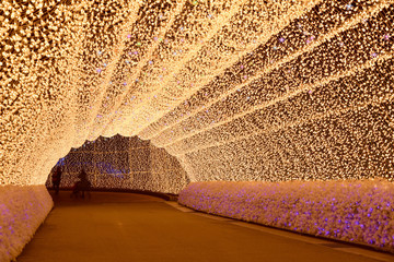 Obraz premium Winter illumination in Mie, Japan