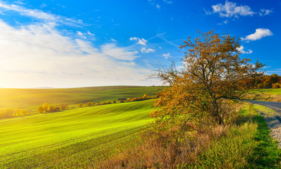 Naklejka premium Countryside