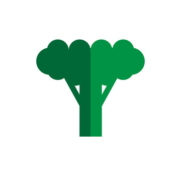 broccoli color icon flat vector vegetable
