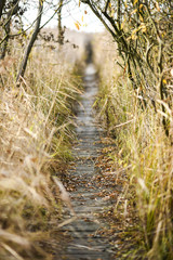 Pomost jezioro Świdwie © Kozioł Kamila