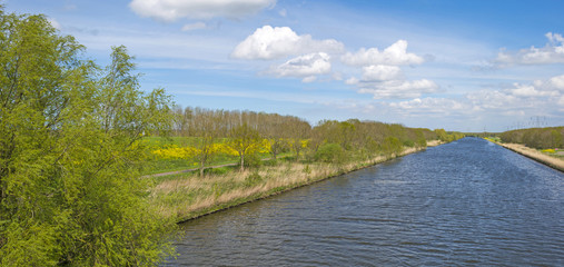 Wild flowers along the shore of a canal in spring