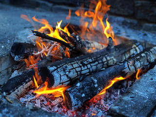 fuoco legna che brucia