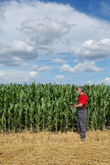 Naklejka na ściany i meble Agriculture, farmer in corn field examine quality using tablet