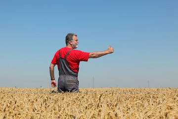 Agriculture, farmer gesturing in wheat field with thumb up