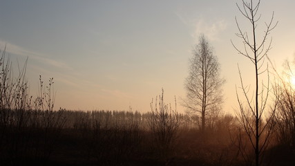 Nature at dawn