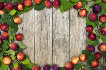 Beautiful frame of small red-ripe apples with green leaves on raw wooden background. Delicious fruit. Image of natural materials. Eco style.