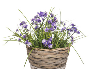 Basket with flowers.