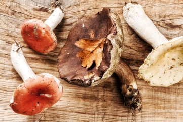 Autumn still life with forest mushrooms